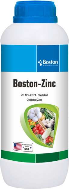 boston-zinc