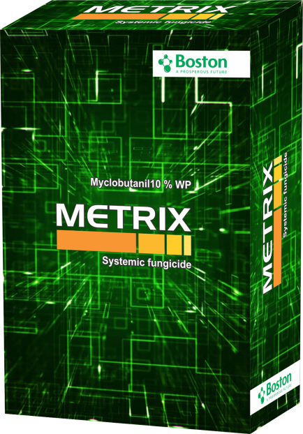 metrix