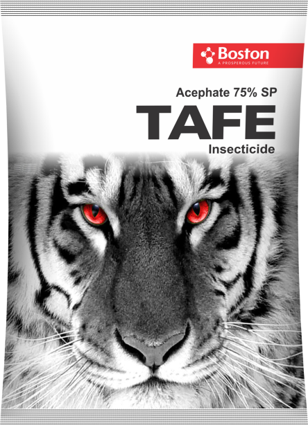 tafe