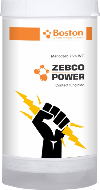 zebco-power